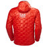 Giacca Isolante Con Cappuccio Lifeloft Helly Hansen - Logo Grenadine