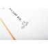 Ronix Flyweight Bat Tail Thruster Hybrid Wakesurf - Bianco Alpino