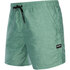Costume Da Bagno Da Uomo Di Marca Mystic - Verde Sale Marino 210185