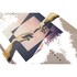 Ronix Utopia Park Wakeboard 2026 - Crema Cielo / Blu