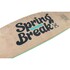 Ronix Spring Break Park Board 2026 - Blu A Scacchi