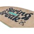 Ronix Spring Break Park Board 2026 - Blu A Scacchi
