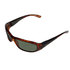 Gul Cz Chixs Floating Sunglasses - Guscio Di Testuggine / Brown