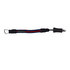 Mystic Kite Short Safety Leash - Blu Scuro / Rosso