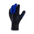 Guanti In Typhoon Dive 3Mm Wetsuit - Nero / Blu