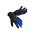 Guanti In Typhoon Dive 3Mm Wetsuit - Nero / Blu