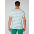 T-Shirt Helly Hansen Fjord - Pepper Green Faded Stripes