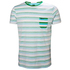 T-Shirt Helly Hansen Fjord - Pepper Green Faded Stripes