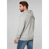 Felpa Con Cappuccio Helly Logo Hhh - Grigio Mélange