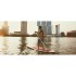 Jobe 9.8 Surf Sup Pacchetto