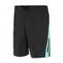 Mystic Brand Solid Boardshort - Caviale
